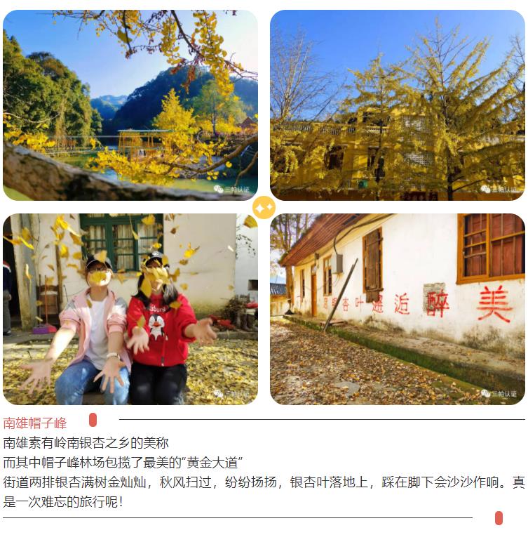 360截圖20220111151505577.jpg
